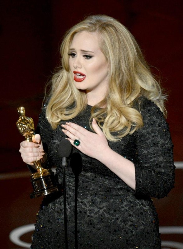 The Oscars 2013